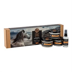 Подарочный набор Домашняя SPA-программа для волос Царица ветров Fresh SPA home Natura Siberica - фото 20251