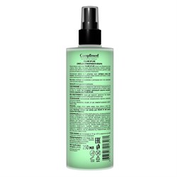 Спрей для прикорневого объёма Professional Volume Up Line Compliment 250 мл - фото 20468
