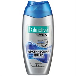 Palmolive Гель для душа Арктический ветер мужской 250 мл - фото 8496