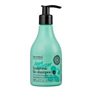 Шампунь для волос Aqua Booster Ultra Увлажнение Hair Evolution by Natura Siberica 250 мл