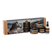 Подарочный набор Домашняя SPA-программа для волос Царица ветров Fresh SPA home Natura Siberica